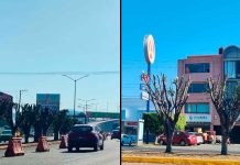 Vecinos de Ana María Gallaga denuncian poda excesiva por obra vial en salida a Pátzcuaro