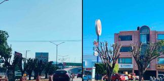 Vecinos de Ana María Gallaga denuncian poda excesiva por obra vial en salida a Pátzcuaro