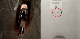 #VIDEO // Denuncian presunto caso de espionaje en baños de primaria en Puebla