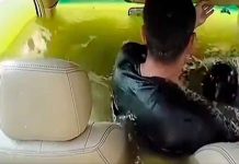 #VIDEO Conductor queda atrapado en auto tras caer al agua en China; se desconoce si falleció