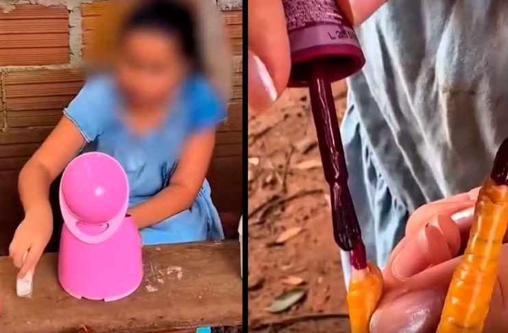 #VIDEO // ¡De la granja al spa! La inocencia de una niña conquista redes con su gallina “consentida”