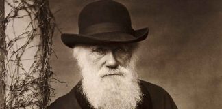 Un día como hoy en la historia falleció el naturalista Charles Darwin.