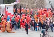 #VIDEO Dinosaurios invaden la Universidad de Calgary y rompen récord Guinness con colorido desfile