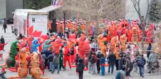 #VIDEO Dinosaurios invaden la Universidad de Calgary y rompen récord Guinness con colorido desfile