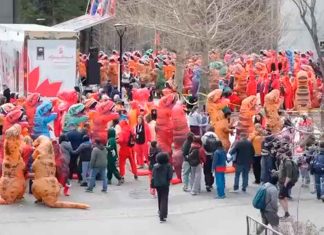 #VIDEO Dinosaurios invaden la Universidad de Calgary y rompen récord Guinness con colorido desfile