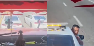 VIDEO | Chofer de tractocamión denuncia agresión por parte de la Guardia Nacional en autopista Puebla-Orizaba