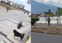 Vecinos de Campo Nubes exigen ayuda de las autoridades están hartos de los rateros