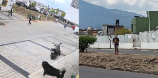 Vecinos de Campo Nubes exigen ayuda de las autoridades están hartos de los rateros