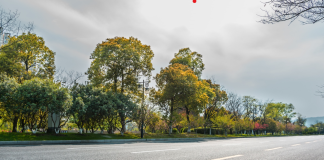 Distribuidor vial de salida a Pátzcuaro será de un solo carril por gasa elevada: SCOP