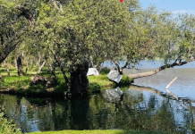 La laguna de Zacapu te espera en los últimos días de vacaciones