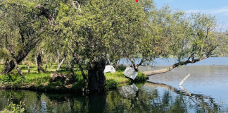 La laguna de Zacapu te espera en los últimos días de vacaciones