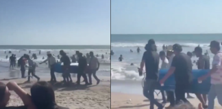 #VIDEO // Bañistas utilizan ataúd como hielera en Sinaloa