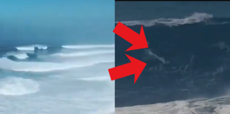 #VIDEO // Sebastian Steudtner establece nuevo récord mundial tras dominar ola de 26 metros en Nazaré