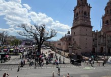Al menos 20 papeleras en el centro de Morelia han sido robadas durante primer el primer trimestre del año