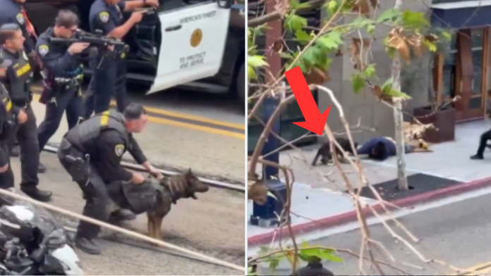 imagen destacada - 2026-04-13T180330.362