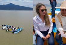 Gobierno de Michoacán siembra mil ejemplares de achoque en el lago de Pátzcuaro