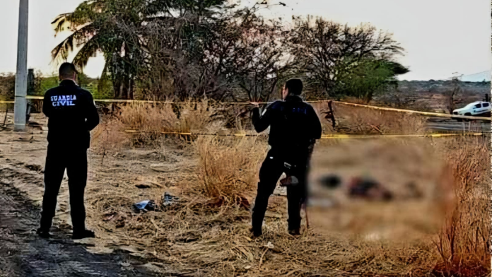 imagen destacada - 2026-04-15T185232.647