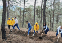 Incendios forestales en Morelia afectan a poco más de 400 hectáreas: Secretaría de Medio Ambiente del Municipio