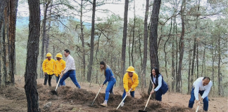 Incendios forestales en Morelia afectan a poco más de 400 hectáreas: Secretaría de Medio Ambiente del Municipio