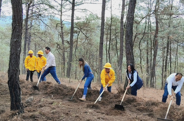 Incendios forestales en Morelia afectan a poco más de 400 hectáreas: Secretaría de Medio Ambiente del Municipio