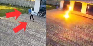 #VIDEO // Adolescente muere electrocutado al intentar espantar a un mono