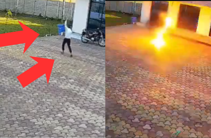 #VIDEO // Adolescente muere electrocutado al intentar espantar a un mono