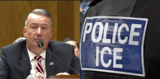 Renuncia titular del ICE, responsable deportaciones masivas de Trump