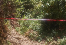 Encuentran a mujer asesinada con arma blanca en Cuirinditzio, Salvador Escalante