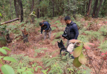 Despliega FGE operativo terrestre y aéreo en Villa Madero en atención a denuncias de ambientalistas