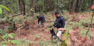 Despliega FGE operativo terrestre y aéreo en Villa Madero en atención a denuncias de ambientalistas