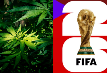 Organizaciones exigen regular el cannabis ante la llegada del Mundial 2026