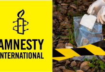 Amnistía Internacional alerta sobre crisis de desapariciones en México con más de 132 mil casos