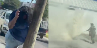 #VIDEO // Mujer de 59 años es atacada por abejas; termina hospitalizada por más de 200 picaduras