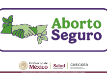 Guía de acceso al Aborto Seguro en el IMSS: requisitos generales y procesos para acceder