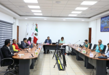 IEM aprueba dos acuerdos para ajustar destino de prerrogativas de partidos políticos