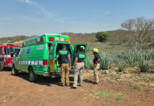 Adulto mayor es atacado por abejas, en el cerro de La Beata