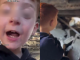 #VIDEO // Niño palestino de 4 años encuentra una bomba sin detonar a unos metros de su casa