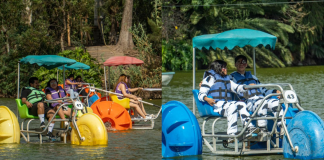 ¡Vive una aventura acuática en el Zoológico de Morelia!