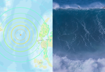Sismo de gran magnitud en Indonesia activa alerta de tsunami