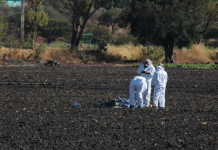 Hallan 20 cuerpos en fosas clandestinas en Cortázar, Guanajuato; localizan restos en al menos cuatro puntos distintos