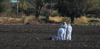 Hallan 20 cuerpos en fosas clandestinas en Cortázar, Guanajuato; localizan restos en al menos cuatro puntos distintos