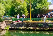 Tragedia en Zacapu: hombre pierde la vida por ahogamiento en estanque de La Zarcita