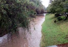 Gobierno de Morelia activa plan preventivo contra inundaciones