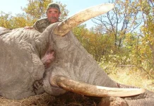 Muere cazador Ernie Dosio tras ser atacado por elefantes al proteger a una cría en Gabón
