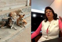 “Si algo me pasa, vamos contra los animalistas”: Mariela Gutiérrez denuncia amenazas por caso de perros