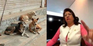 “Si algo me pasa, vamos contra los animalistas”: Mariela Gutiérrez denuncia amenazas por caso de perros