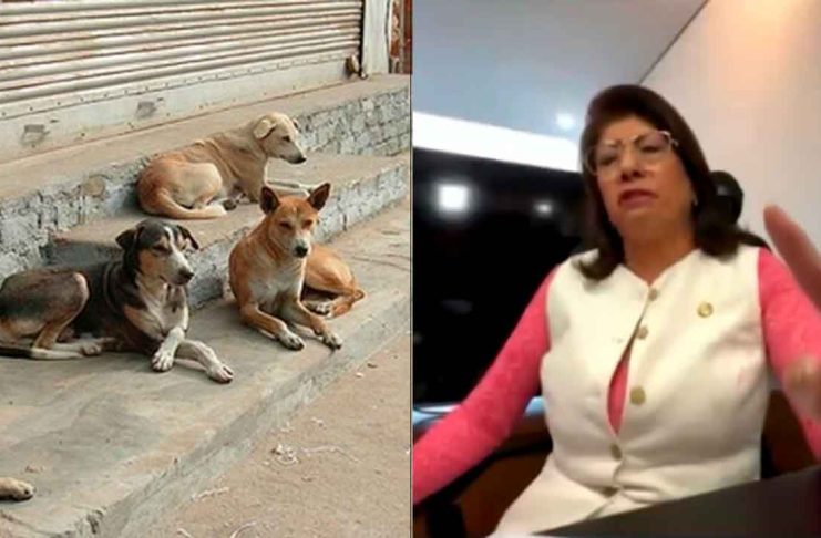 “Si algo me pasa, vamos contra los animalistas”: Mariela Gutiérrez denuncia amenazas por caso de perros
