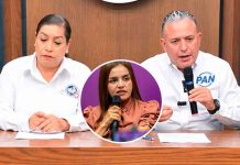 ”El PAN no le ruega a nadie”, responde Carlos Quintana a Grecia Quiroz