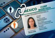 Así puedes revisar qué celulares están registrados con tu CURP en México