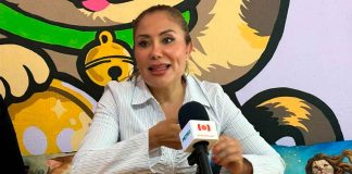 Más de 508 reportes de maltrato animal ha recibido en el primer trimestre del año el IMPA